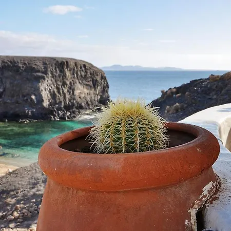 Roble * Yaiza (Lanzarote)
